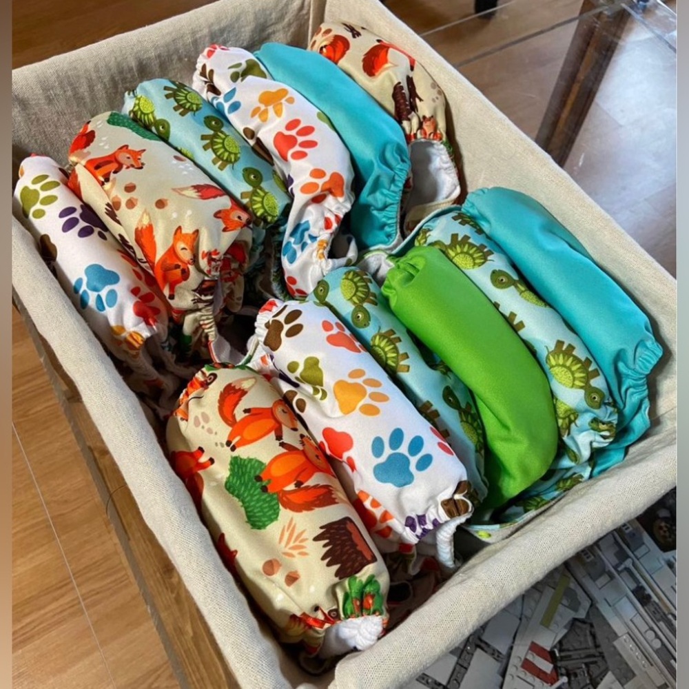 Baby Boys reusable diapers with reusable inserts.